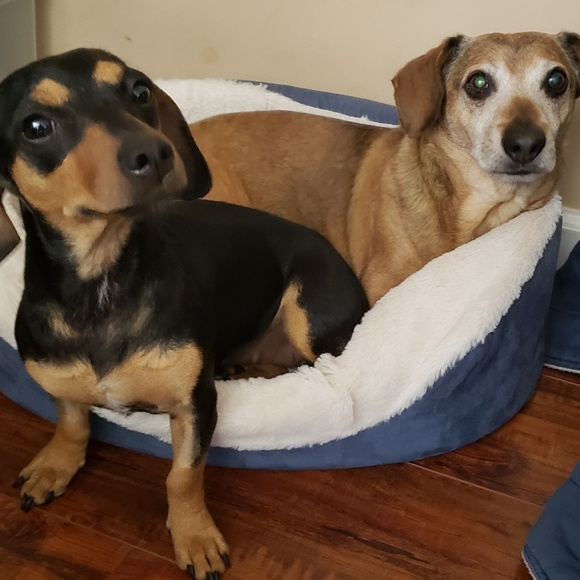 Meet your Posher, Larisa - Picture 5 of 8